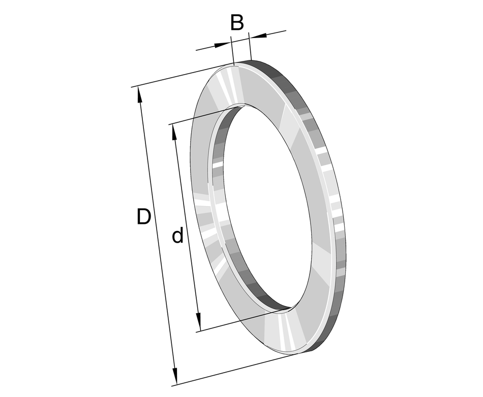 LS160200-INA Bearing Washer