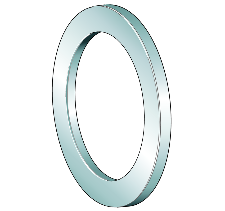 WS81164-INA Shaft Locating Washer