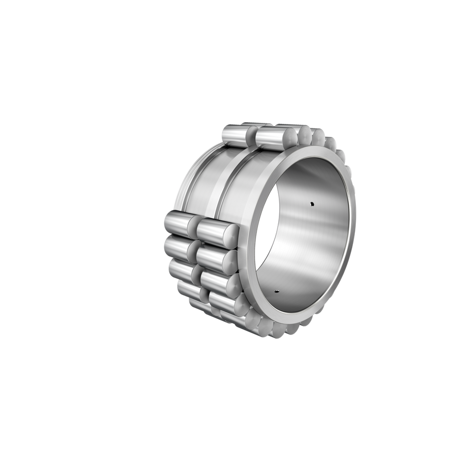 RSL185026-A-INA Cylindrical Roller Bearing