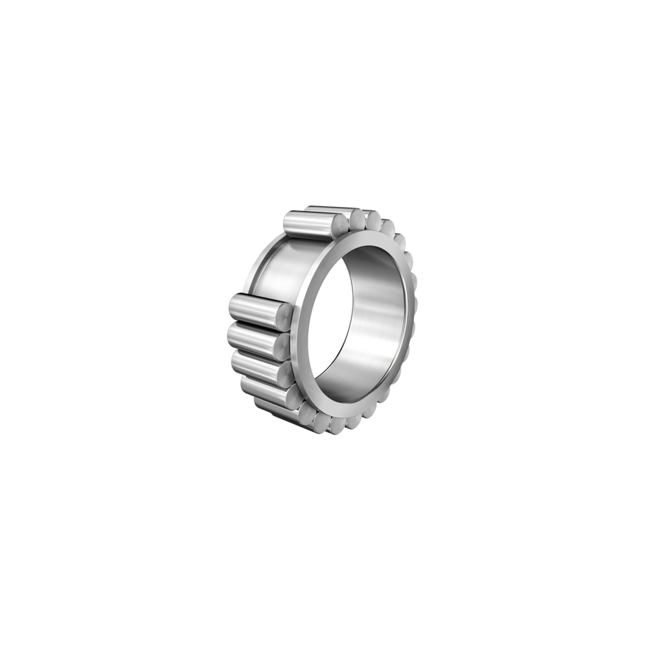 RSL182220-A-INA Cylindrical Roller Bearing