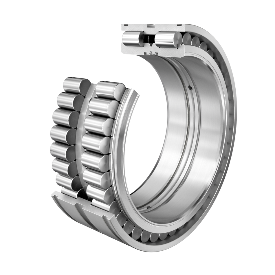 SL045036-D-INA Cylindrical Roller Bearing