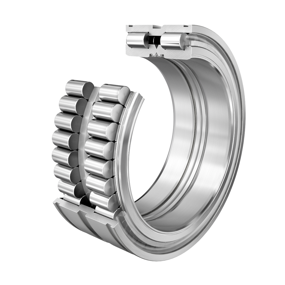 SL045019-D-PP-C3-INA Cylindrical Roller Bearing