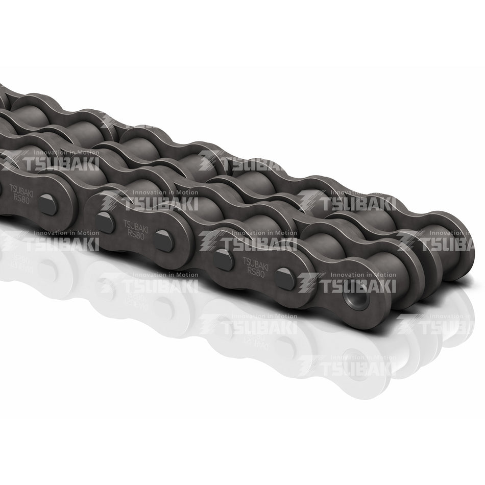RS50 2 Duplex Chain 10FT BOX