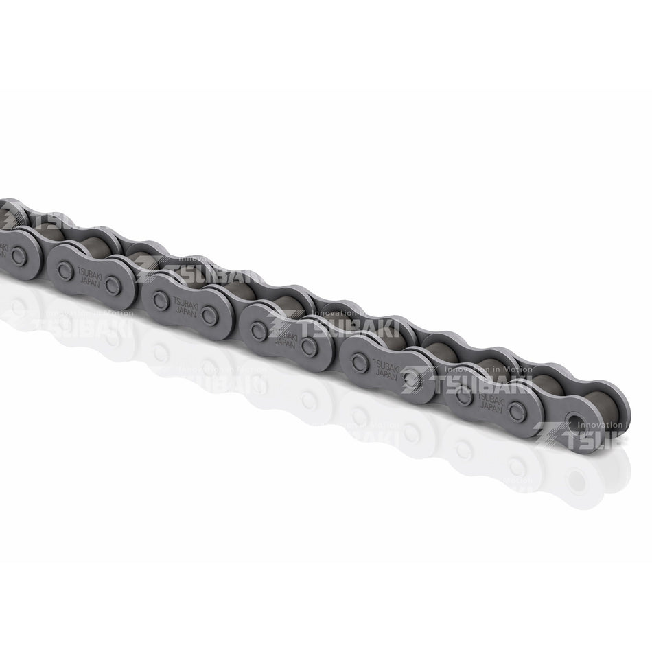 RS40 1 NEPTUNE Simplex Chain 10FT BOX