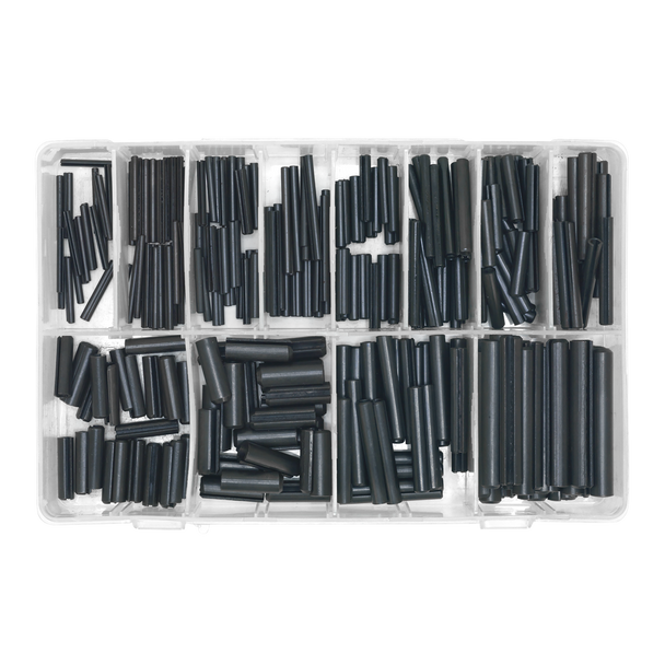 AB007RP Spring Roll Pin Assortment 300pc