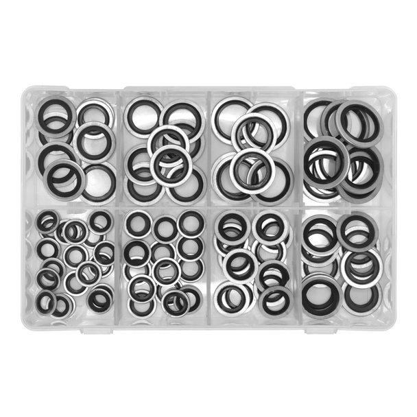 AB010DS Bonded Seal (Dowty Seal) Assortment 88pc