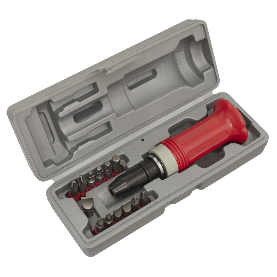 AK2081 Premier Impact Driver Set with Protection Grip 15pc