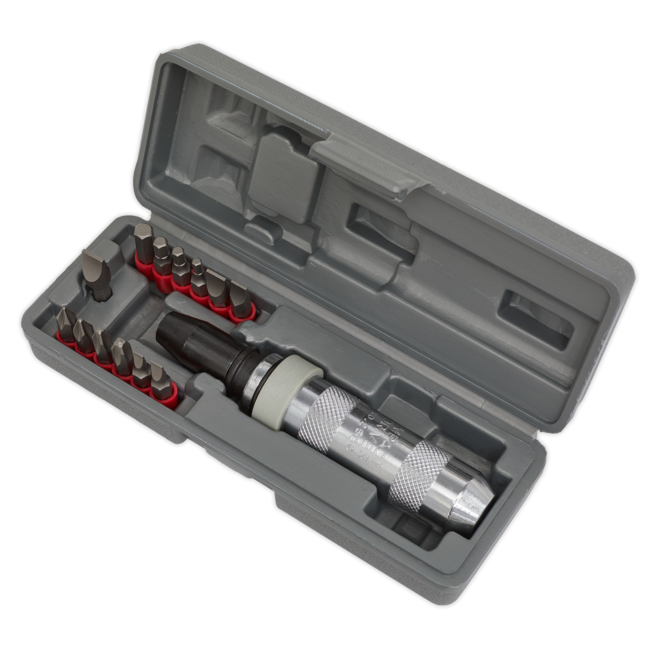 AK208 Premier Impact Driver Set 15pc