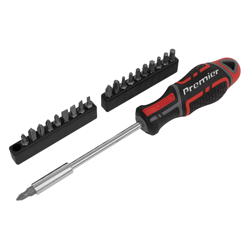 AK4329 Premier GripMAX Screwdriver & Bit Set 21pc