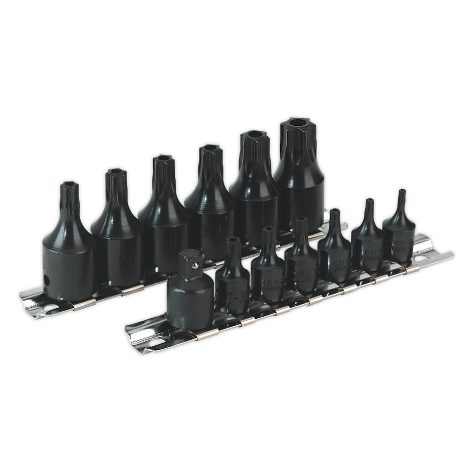 AK5585 Premier TRX-Star* Security Socket Bit Set 1/4" & 3/8"Sq Drive 13pc