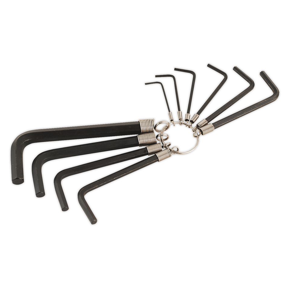 AK6148 Premier Hex Key Set on Ring 10pc