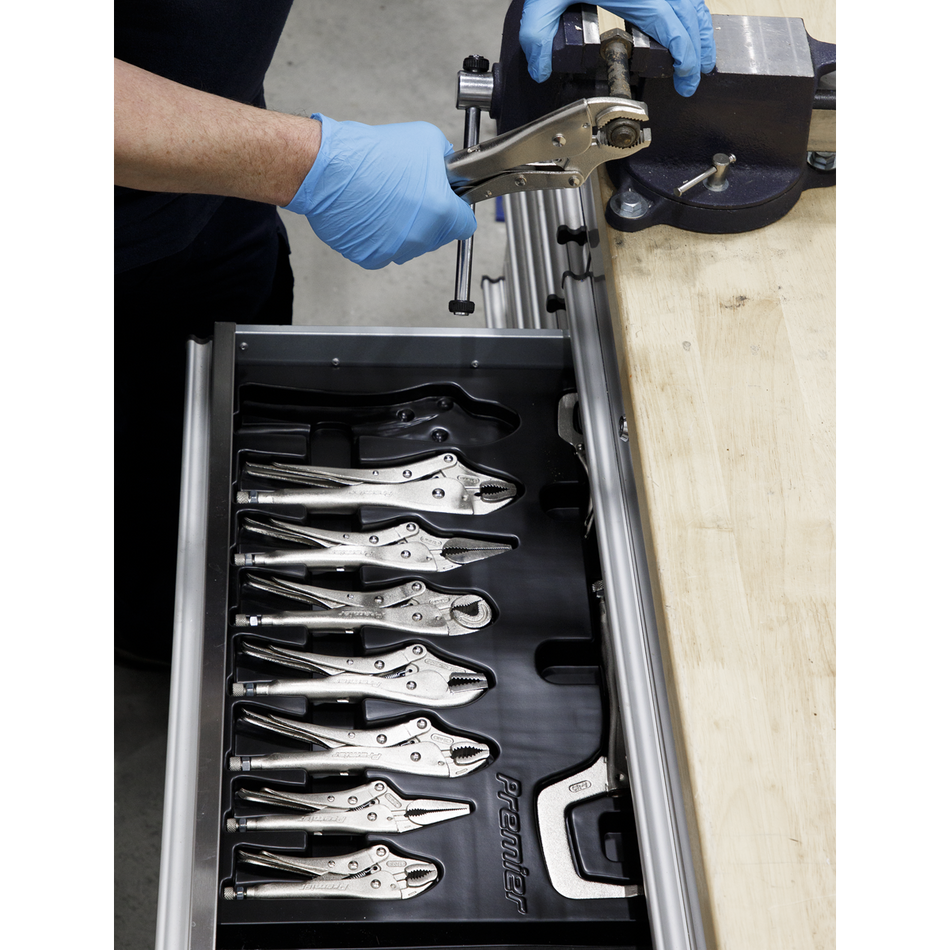AK6800 Premier Locking Pliers Set 10pc