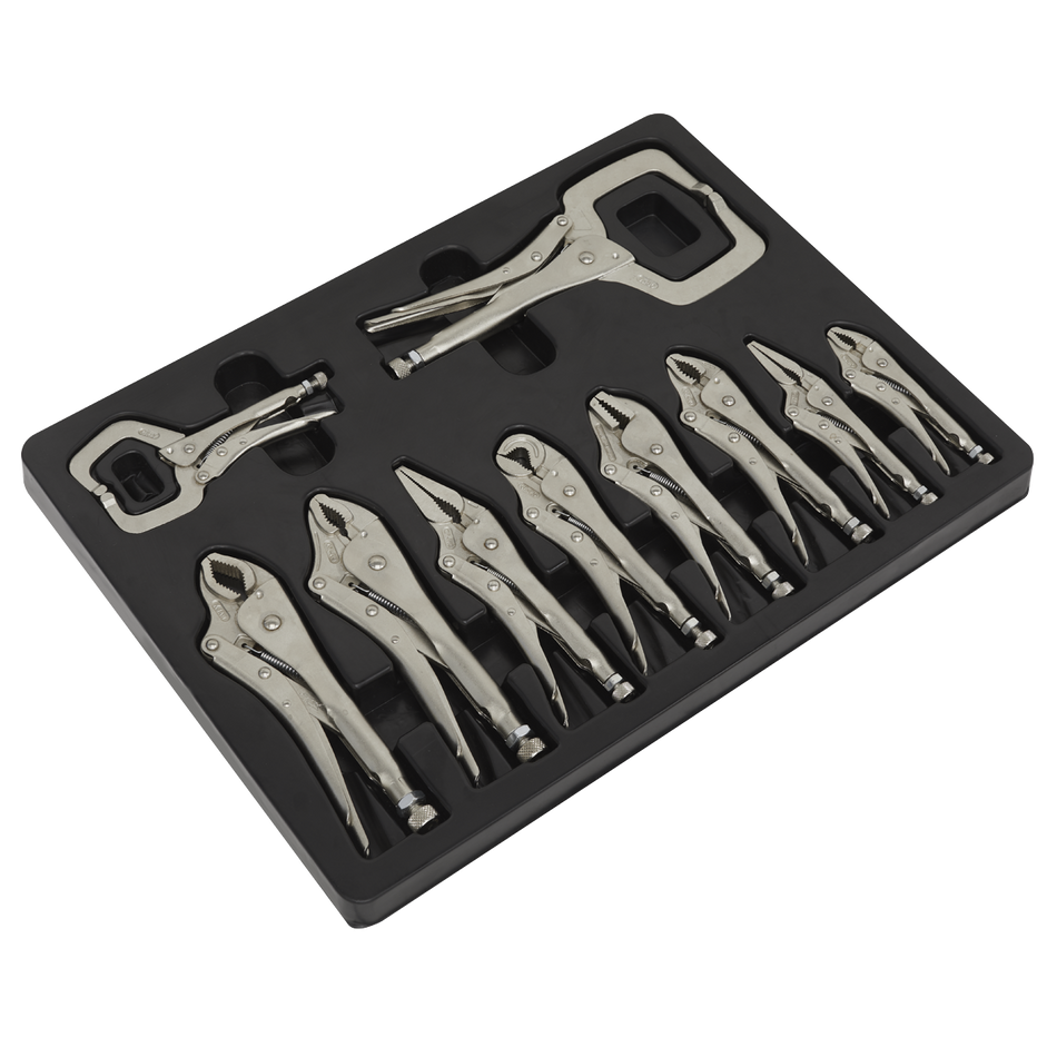AK6800 Premier Locking Pliers Set 10pc