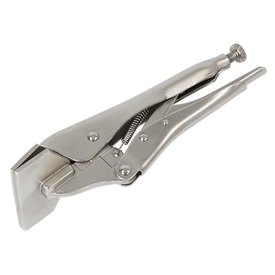 AK6829 Premier Sheet Metal Clamp 200mm