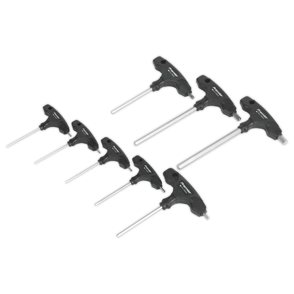 AK7143 Premier T-Handle Hex Key Set 8pc