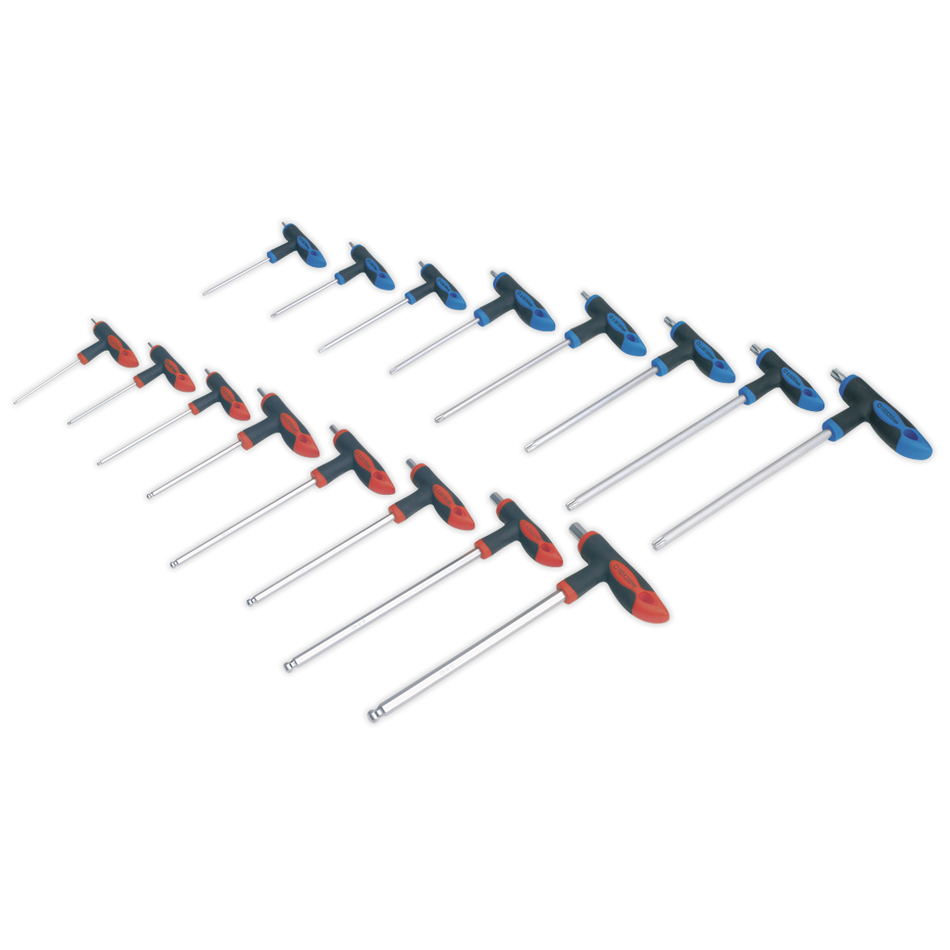 AK7147 Premier T-Handle TRX-Star* & Hex Key Set 16pc