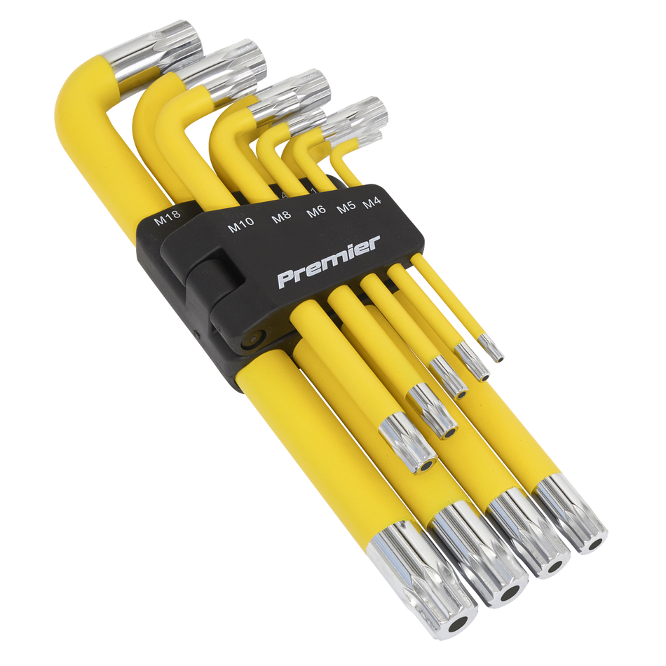 AK7189 Premier Jumbo Anti-Slip Spline Key Set 9pc