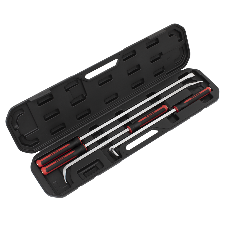 AK9100 Premier Heavy-Duty Pry Bar Set 4pc