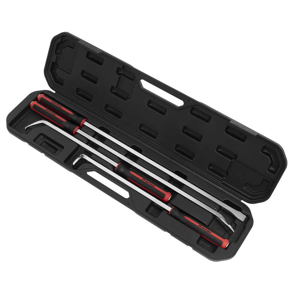 AK9100 Premier Heavy-Duty Pry Bar Set 4pc