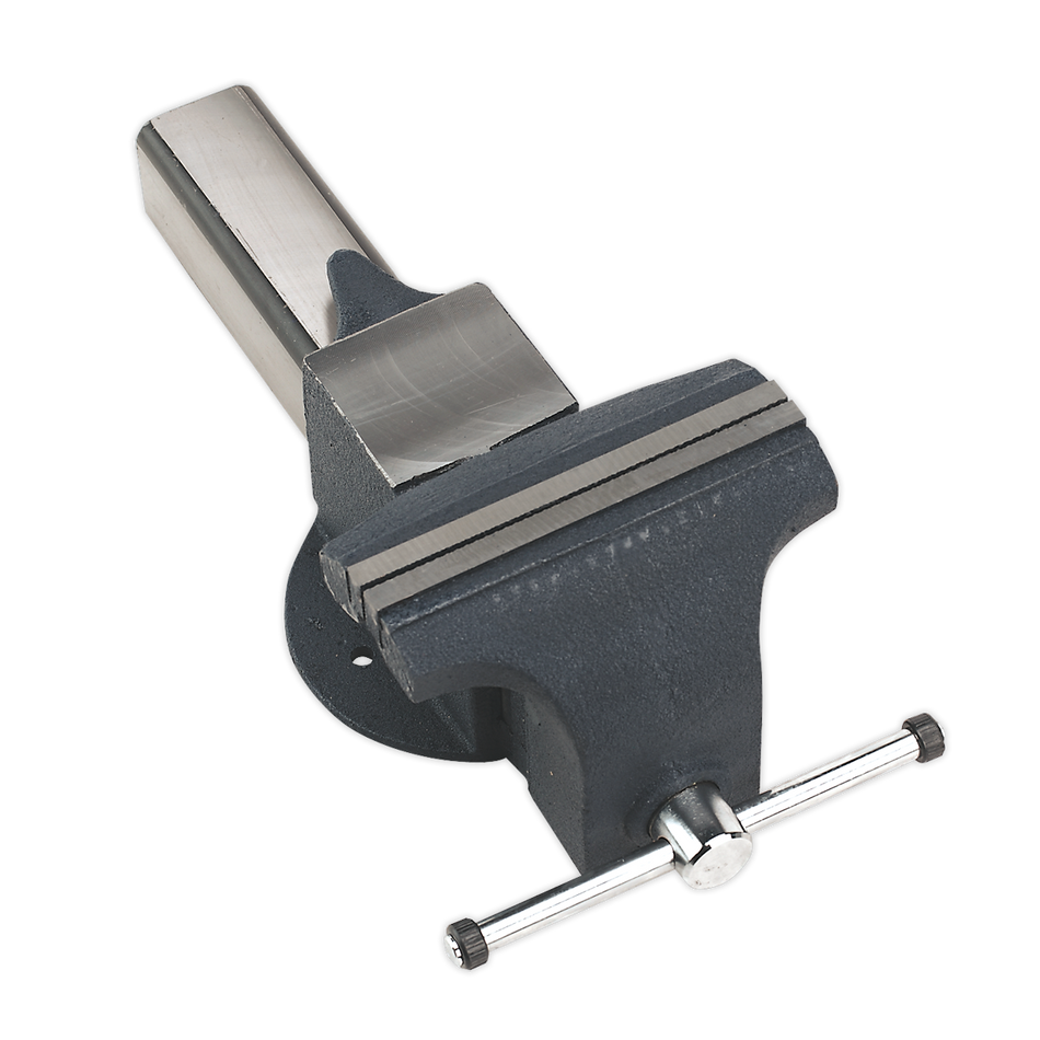 ASV200 All Steel Vice 200mm