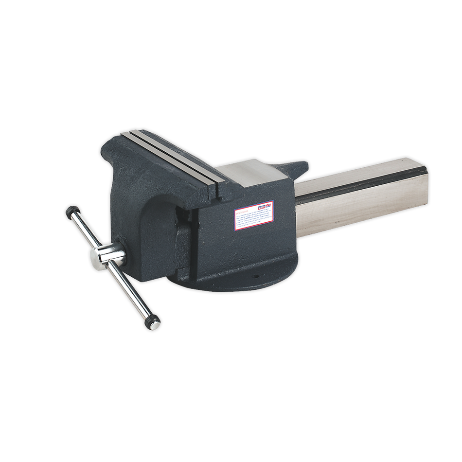 ASV250 All Steel Vice 250mm