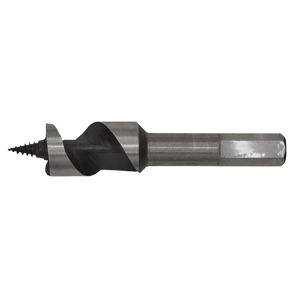 AW20x100 Auger Wood Drill Bit 20 x 100mm