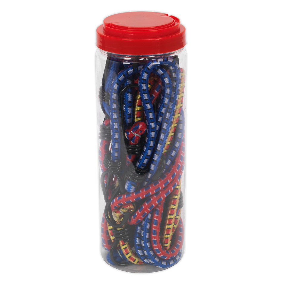 BCS10 Bungee Cord Set 10pc
