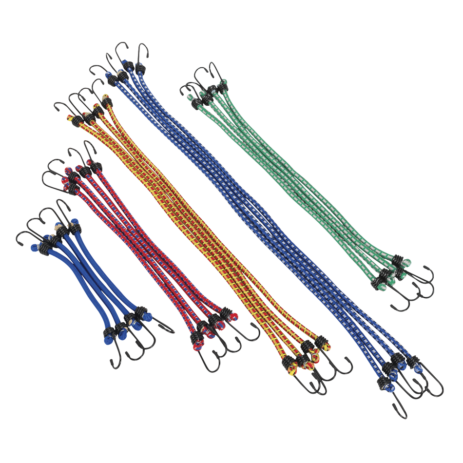 BCS20 Bungee Cord Set 20pc