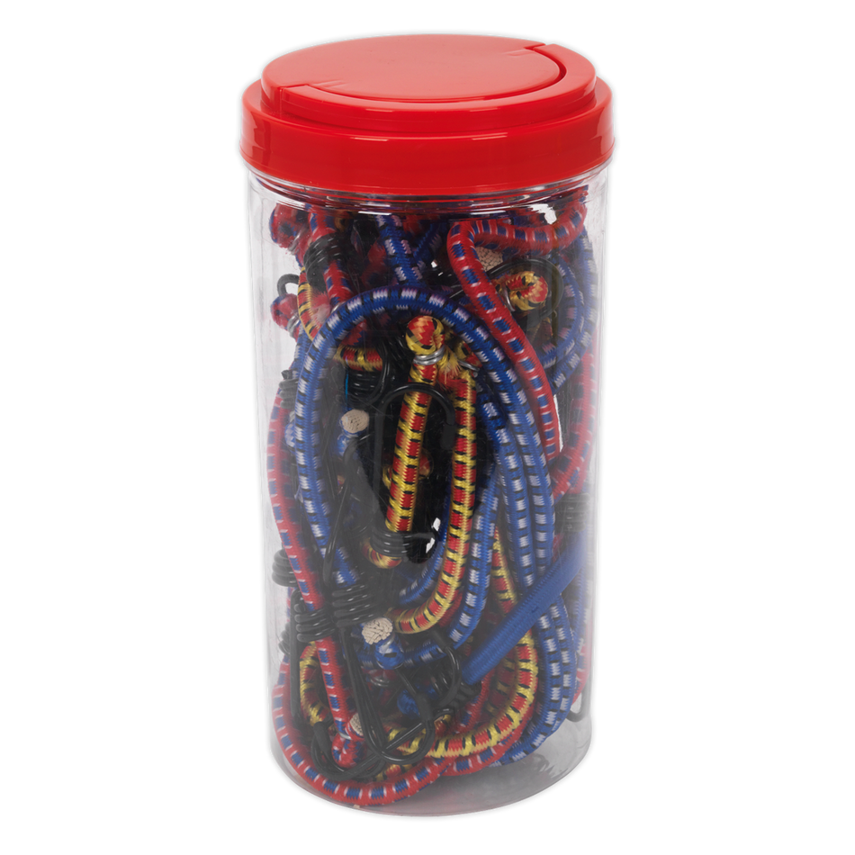 BCS20 Bungee Cord Set 20pc
