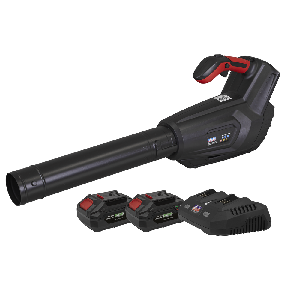 CP40VBKIT Cordless Blower Kit 40V 4Ah SV20 Series
