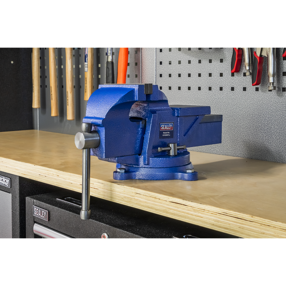 CV125XT Professional Heavy-Duty Fixed Base Vice 125mm