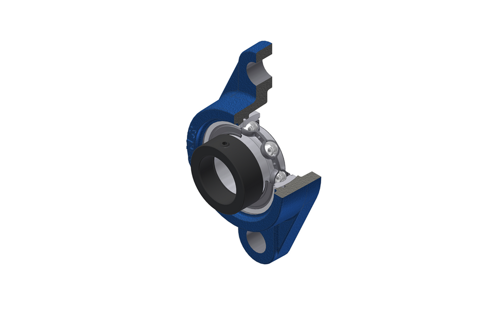 AELFL209D1-NTN Product Image