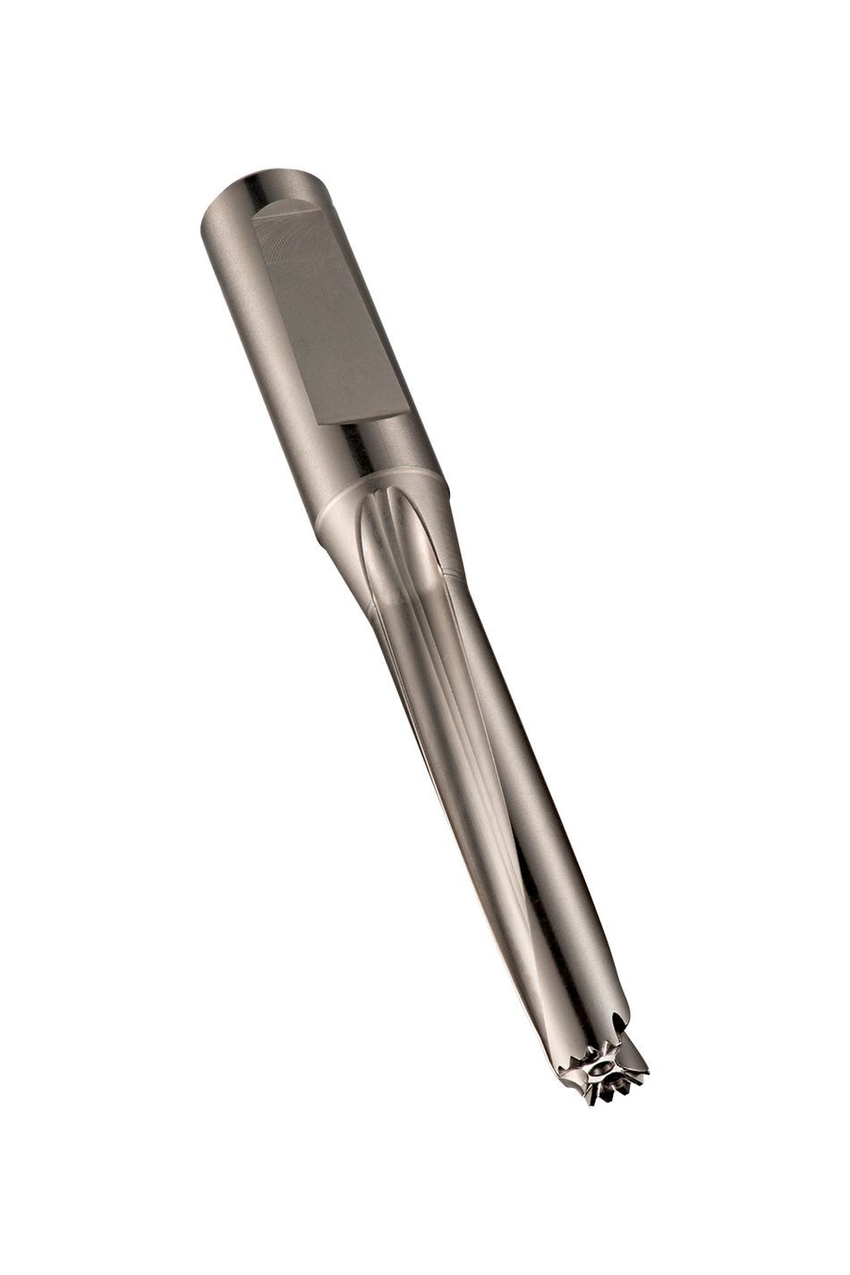 H85520.0 Hydra Body 5 x D