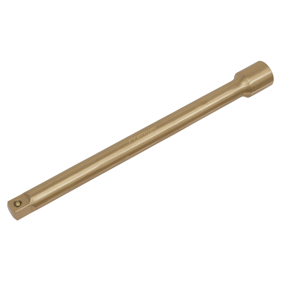 NS064 Premier Non-Sparking Extension Bar 1/2"Sq Drive 250mm