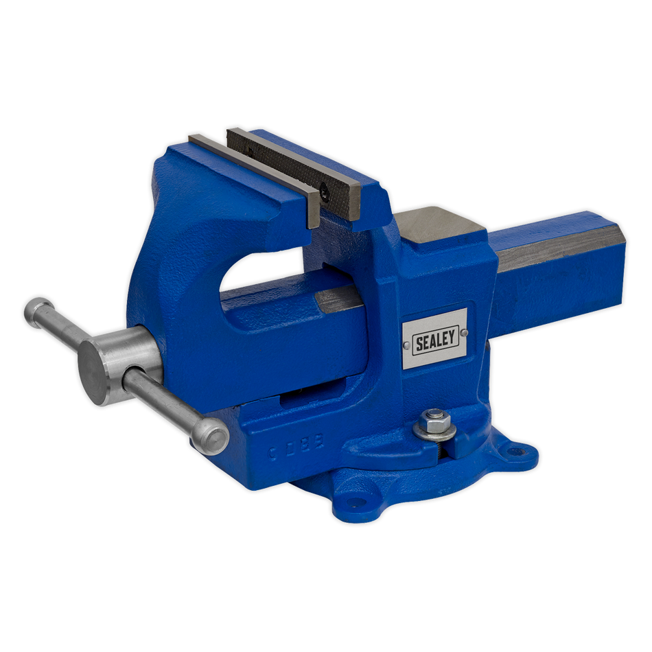 QAVE100 Quick Action SG Iron Vice with Swivel Base 100mm
