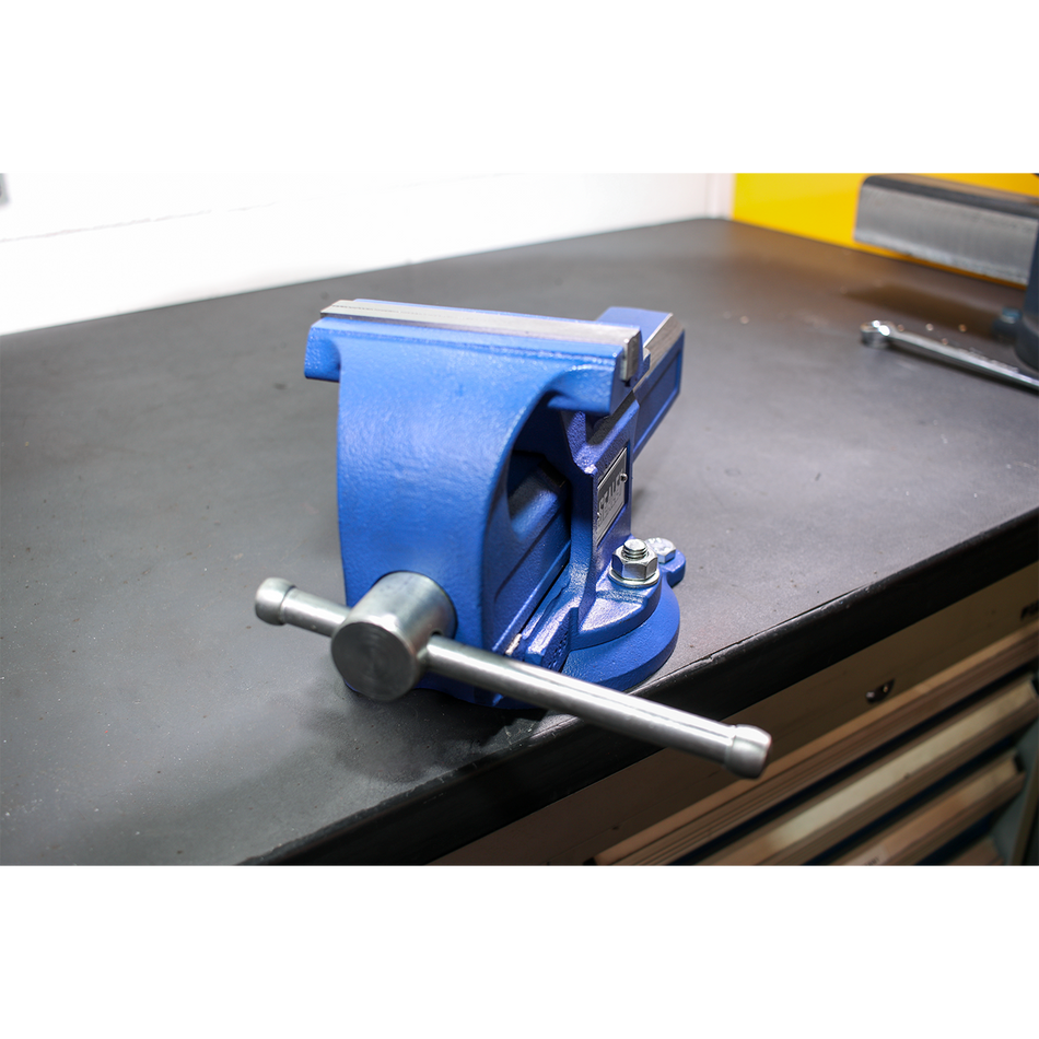 QAVE125 Quick Action SG Iron Vice with Swivel Base 125mm