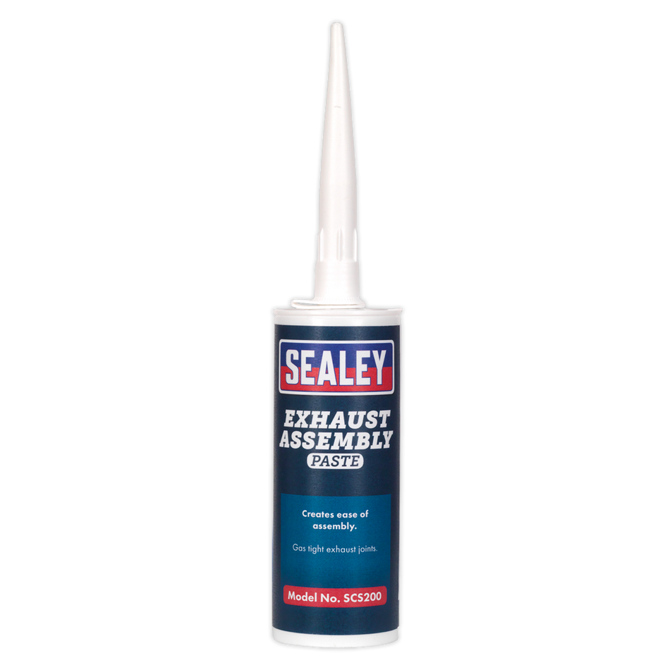 SCS200 Exhaust Assembly Paste 300g