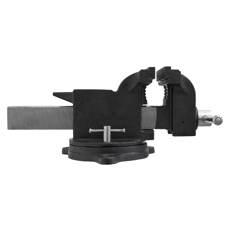 SGV200 SG Iron Industrial Vice with Swivel Base 200mm