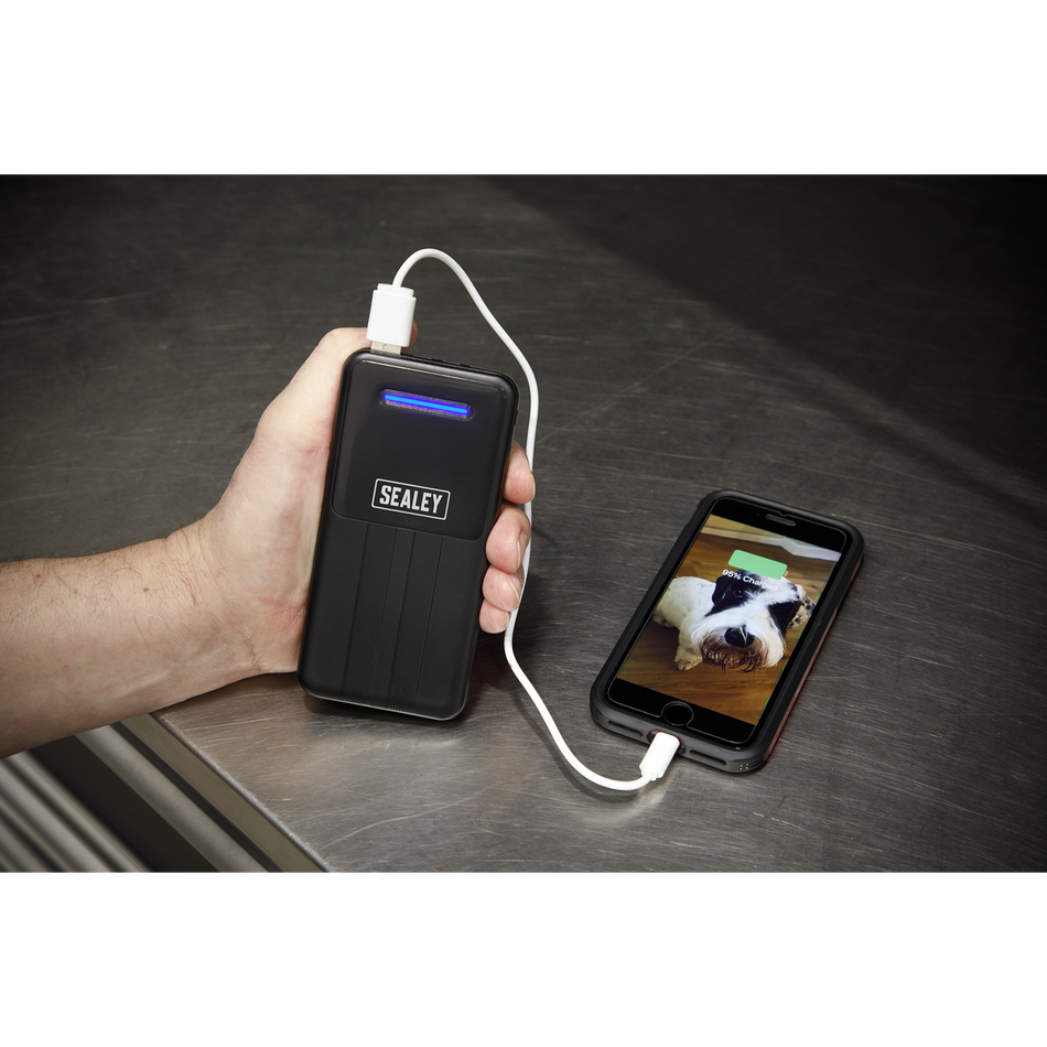 SPB102 Portable Power Bank 10W 20000mAh
