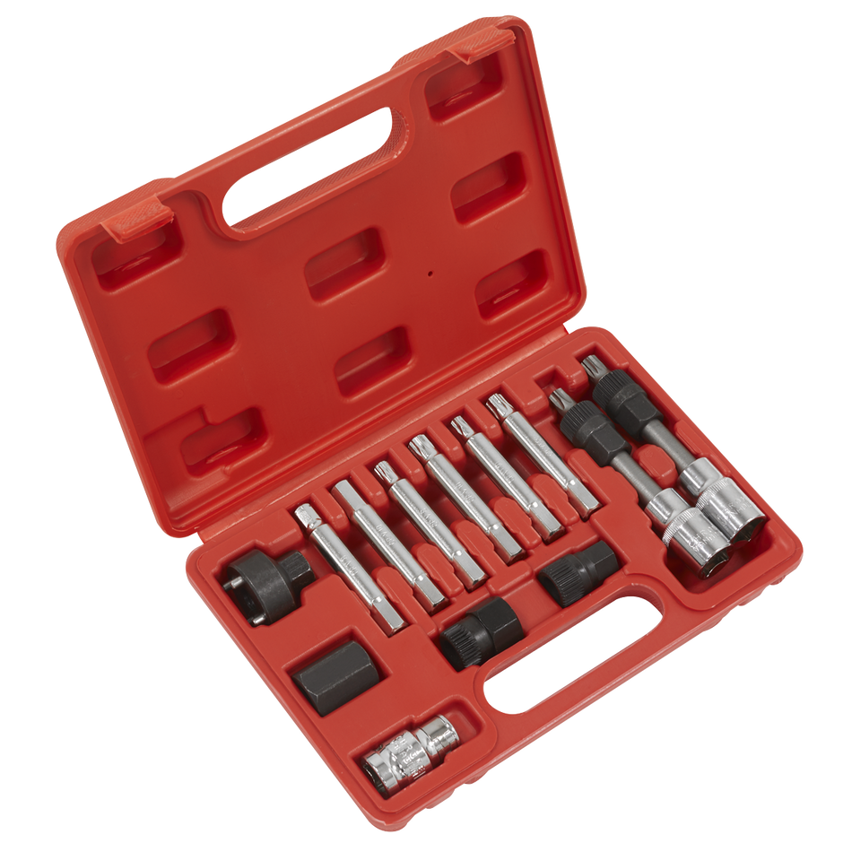 SX401 Alternator Freewheel Removal Set 13pc
