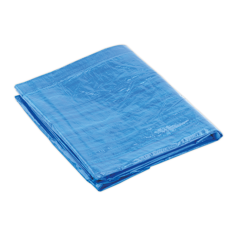 TARP2040 Tarpaulin 6.10 x 12.19m - Blue
