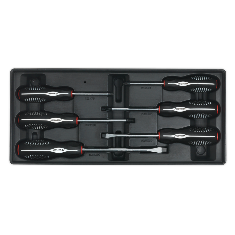 TBT14 Premier Screwdriver Set with Tool Tray 6pc