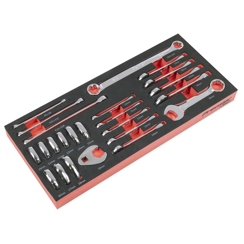 TBT50 Stubby Combination TRX-Star* & Crow's Foot Spanner Set with Tool Tray 24pc