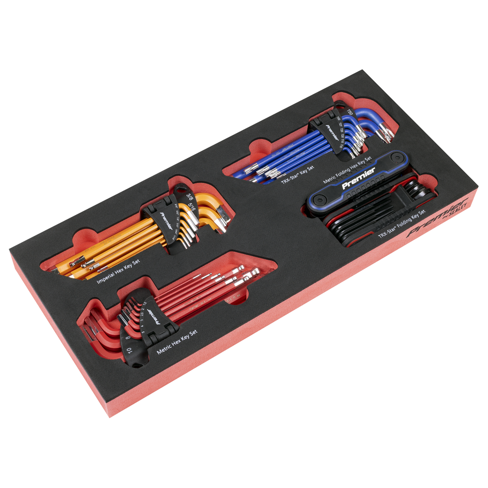 TBT62 Premier Master Key Set with Tool Tray 43pc