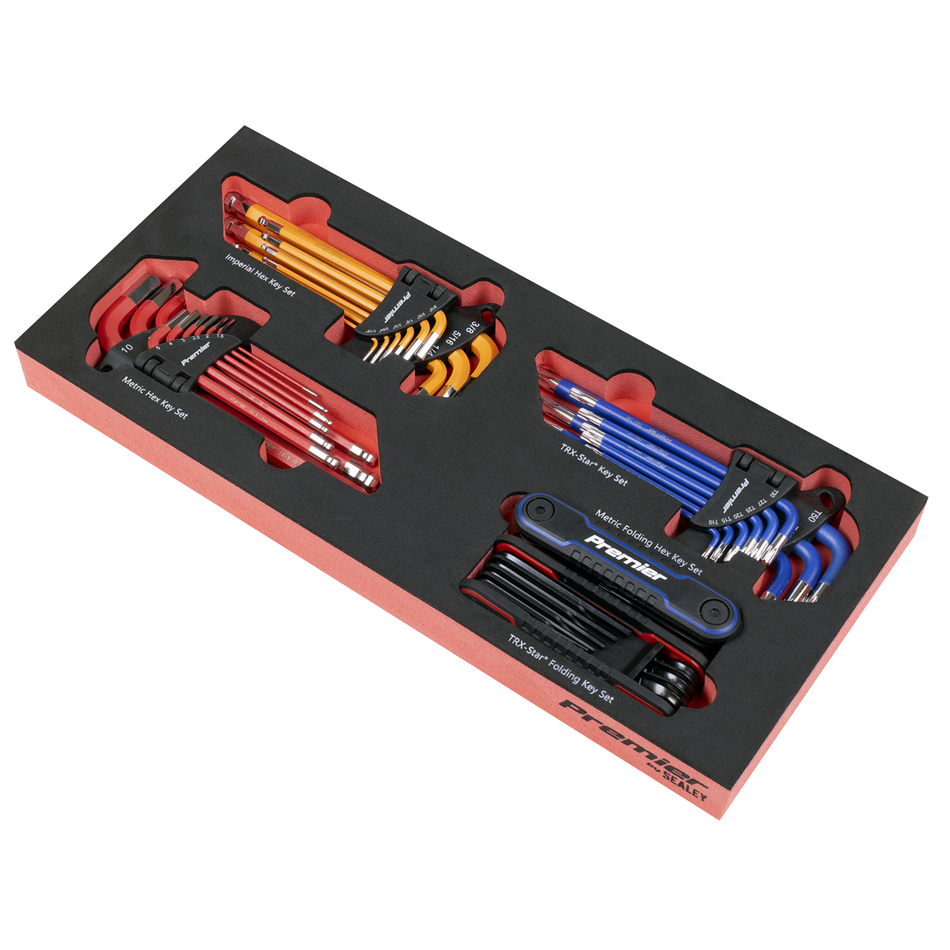 TBT62 Premier Master Key Set with Tool Tray 43pc