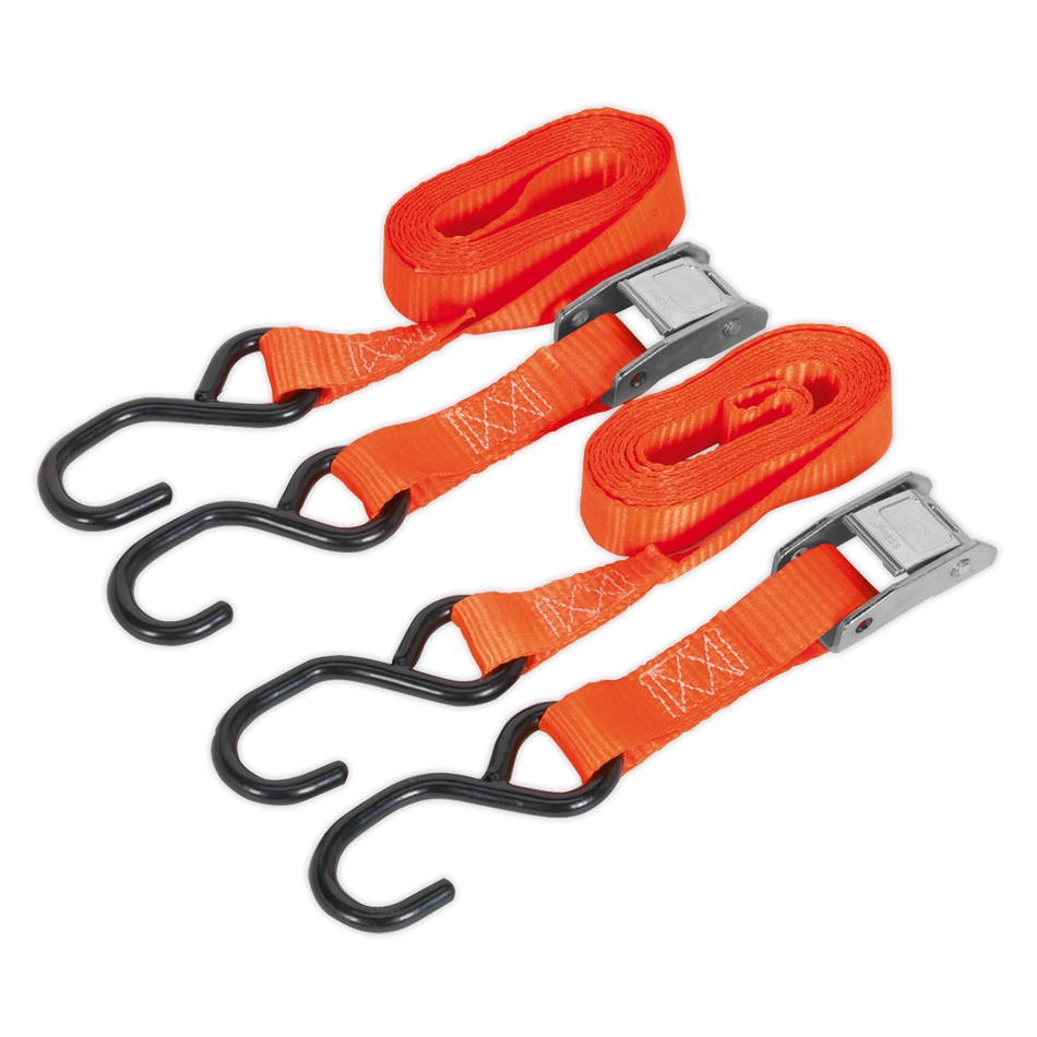 TD05025CS Cam Buckle Strap Polyester Webbing with S-Hooks 25mm x 2.5m 500kg Breaking Strength