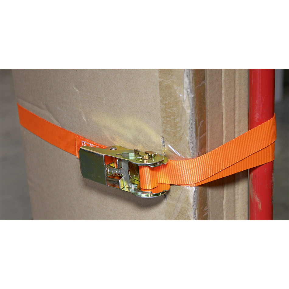 TD05045E Self-Securing Ratchet Straps 25mm x 4.5m 500kg Breaking Strength - Pair