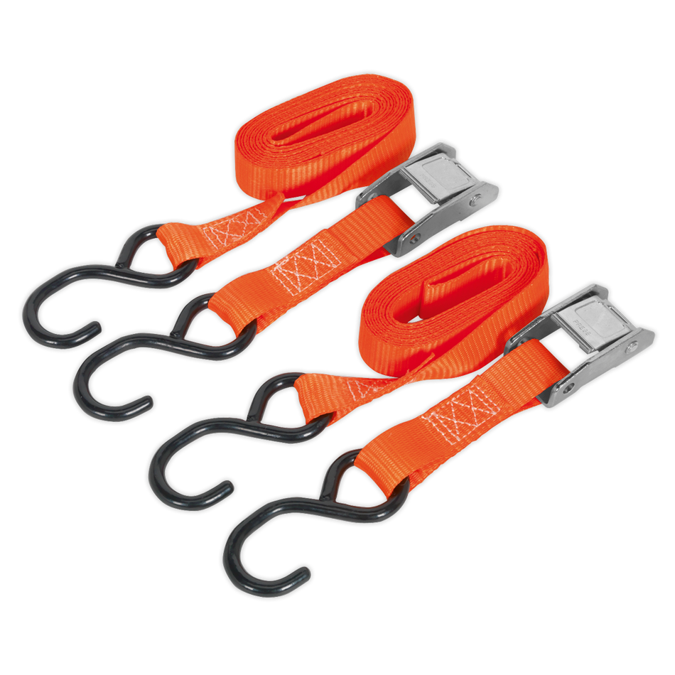 TD2525CS Cam Buckle Strap Polyester Webbing with S-Hooks 25mm x 2.5m 250kg Breaking Strength