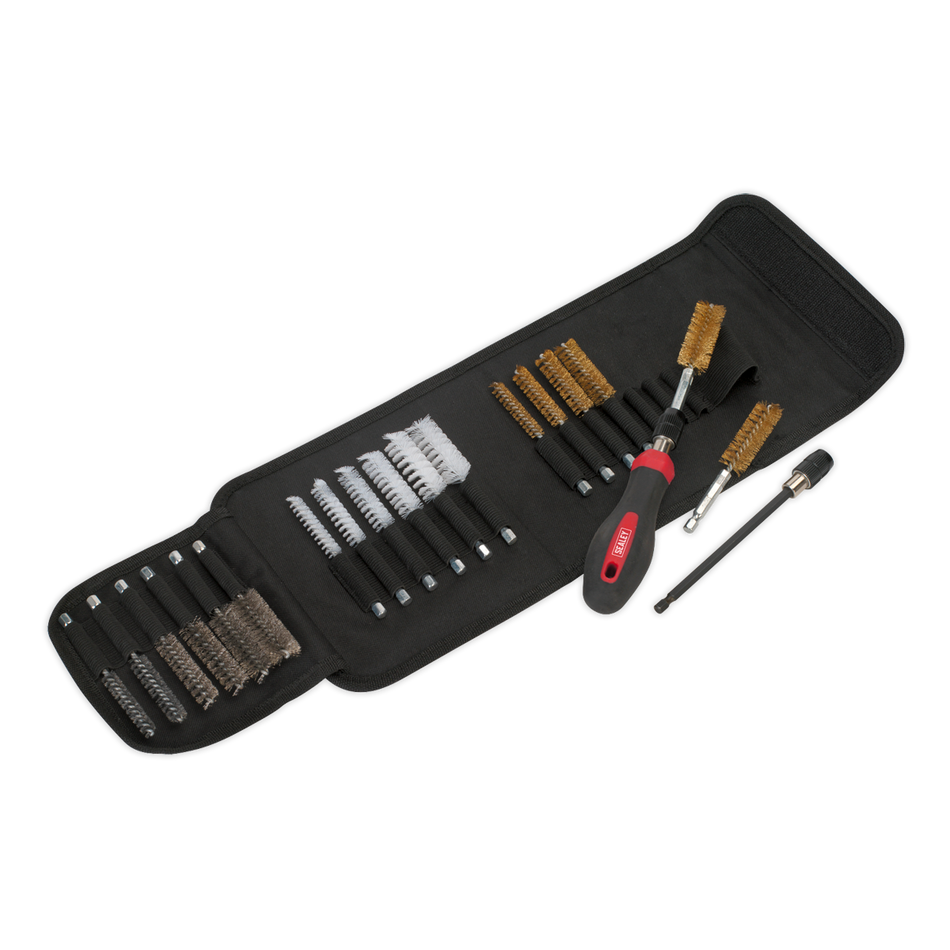 VS1800 Cleaning & Decarbonising Brush Set 20pc