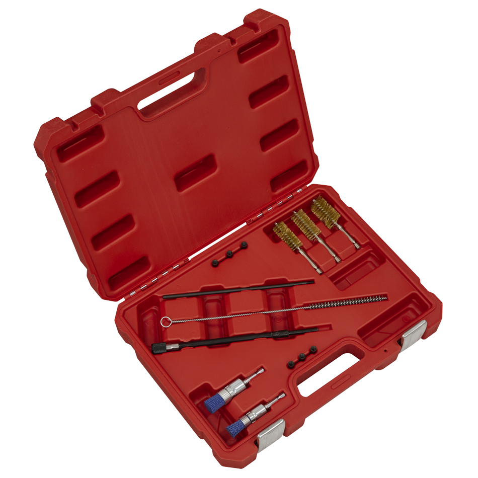 VS1900 Injector Bore Cleaning Brush Set 14pc